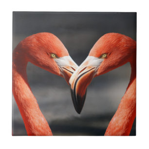 Azulejo De Cerâmica Namorados Flamingo