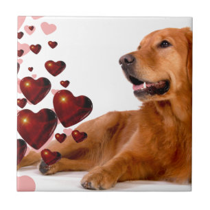 Azulejo De Cerâmica Namorados Red Hearts Ouro Retriever Dog