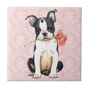 Azulejo De Cerâmica Namorados Rosa Boston Terrier