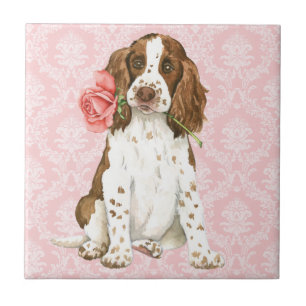 Azulejo De Cerâmica Namorados Rosa English Springer