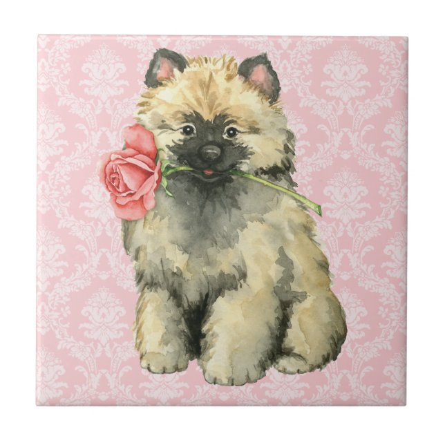 Azulejo De Cerâmica Namorados Rosa Keeshond (Frente)