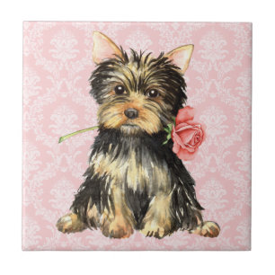 Azulejo De Cerâmica Namorados Yorkie cor-de-rosa