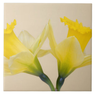 Azulejo De Cerâmica Narcisos amarelos
