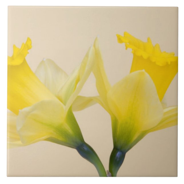 Azulejo De Cerâmica Narcisos amarelos (Frente)