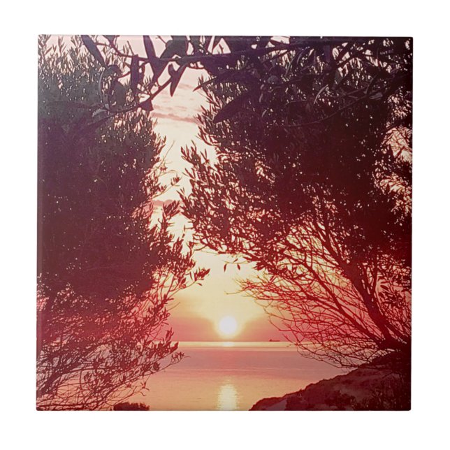 Azulejo De Cerâmica nascente (Frente)