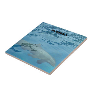 Azulejo De Cerâmica natações de golfinhos cinzas submarinos