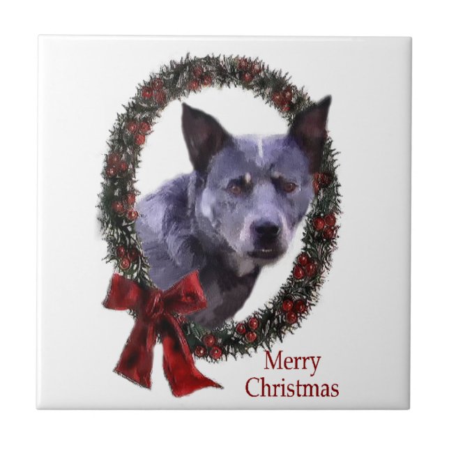 Azulejo De Cerâmica Natal de Cattle na Austrália (Frente)