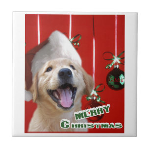 Azulejo De Cerâmica Natal para ouro Retriever