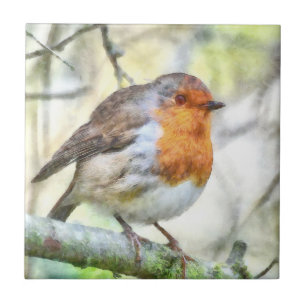 Azulejo De Cerâmica Natal Robin Redbreast Winter Watercolor