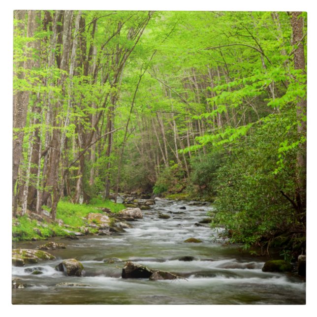 Azulejo De Cerâmica National Park Carolina do Norte, Montanhas do Enfu (Frente)