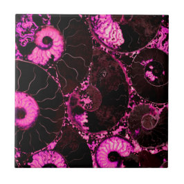 Azulejo De Cerâmica Nautilus design