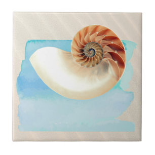 Azulejo De Cerâmica Nautilus Seashell e Sand