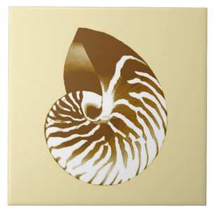 Azulejo De Cerâmica Nautilus shell - castanho, branco e bege