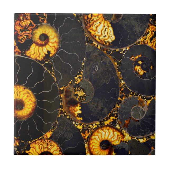 Azulejo De Cerâmica Nautilus shell design (Frente)