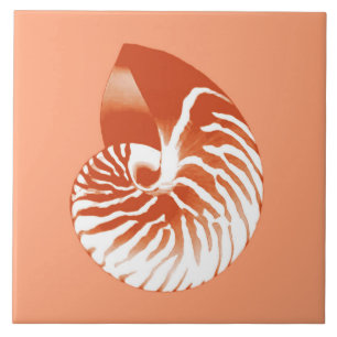 Azulejo De Cerâmica Nautilus shell - terracotta e branco