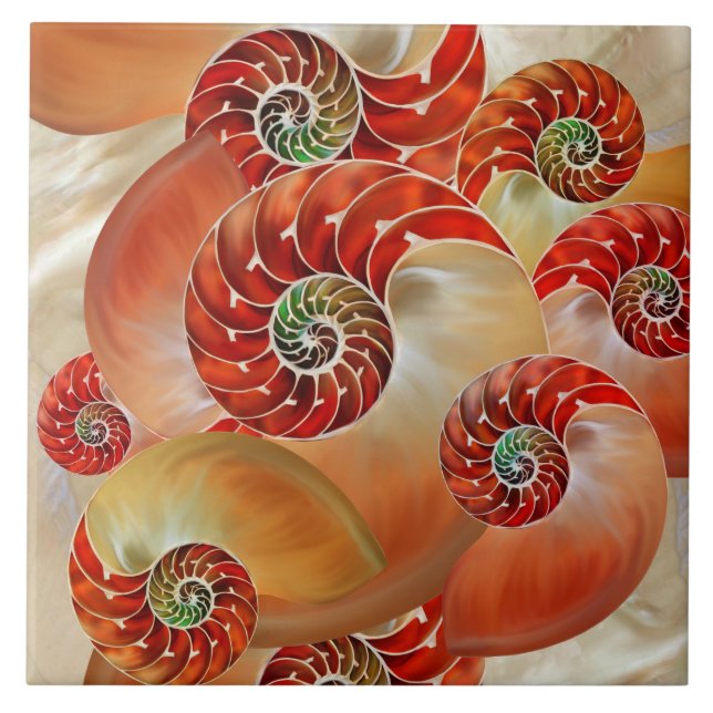 Azulejo De Cerâmica Nautilus Shells (Frente)