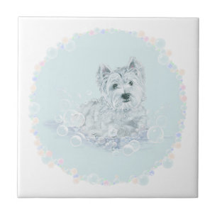 Azulejo De Cerâmica Nem Outro Banho