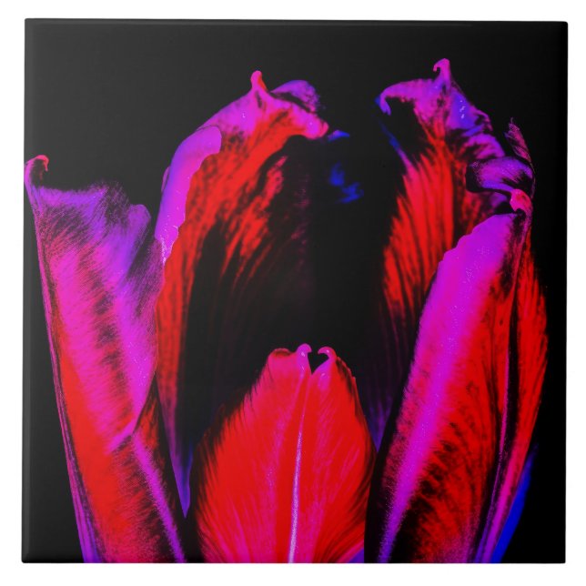 Azulejo De Cerâmica Neon Glow Tulip (Frente)
