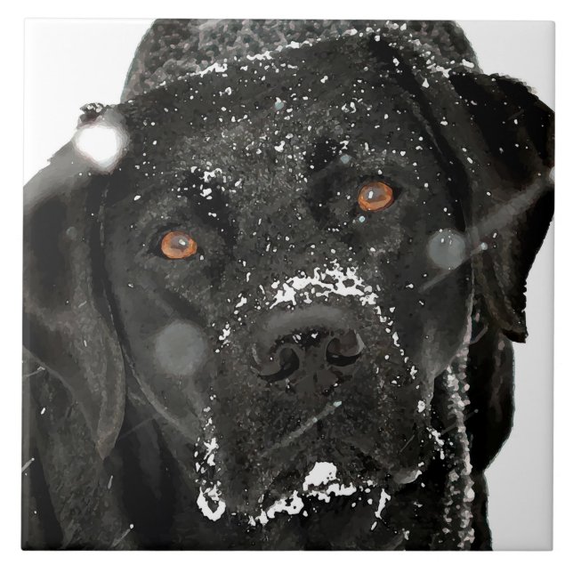 Azulejo De Cerâmica Neve - Cão Neve - Labrador Negro (Frente)