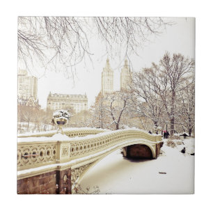 Azulejo De Cerâmica Neve do Central Park - inverno New York