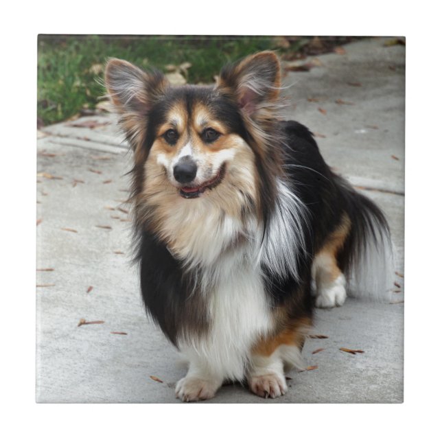 Azulejo De Cerâmica Nipsey (Frente)