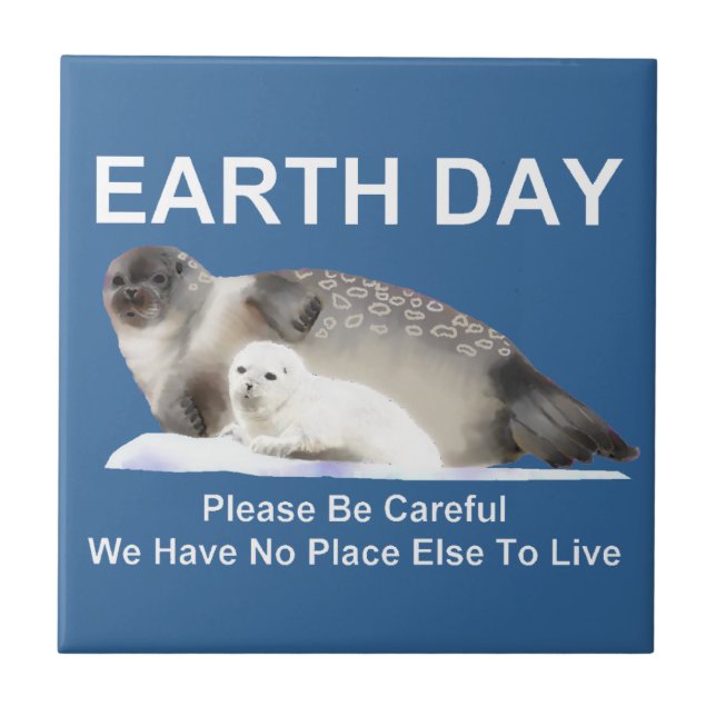 Azulejo De Cerâmica No gelo fino (Frente)