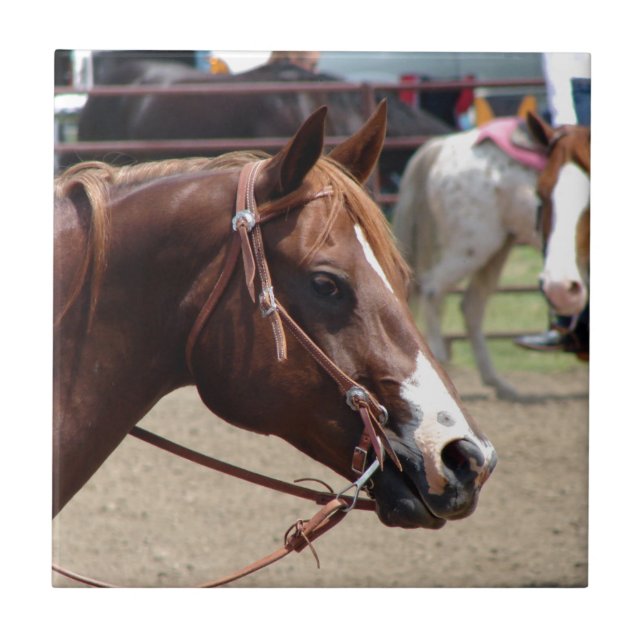 Azulejo De Cerâmica No Horse Show (Frente)