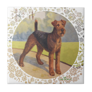 Azulejo De Cerâmica No Verde