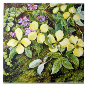 Azulejo De Cerâmica Norte - Flores de um Dogwood e de um Indigo