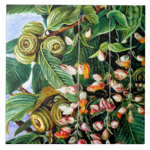 Azulejo De Cerâmica Norte - Um Carvalho Darjeeling, belas artes