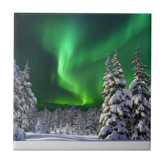 Azulejo De Cerâmica Nortes durante o inverno (Frente)