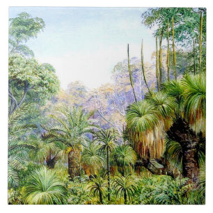 Azulejo De Cerâmica North - Forest Scene, Austrália Ocidental, colhei