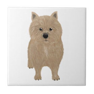 Azulejo de cerâmica Norwich Terrier