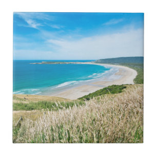 Azulejo De Cerâmica Nova Zelândia, Ilha do Sul, Catlins, Baía de Tautu