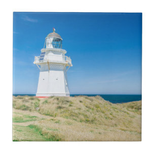 Azulejo De Cerâmica Nova Zelândia, Ilha do Sul, Catlins, Waipapa