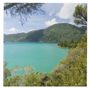 Azulejo De Cerâmica Nova Zelândia, Ilha do Sul, Marlborough Sounds.