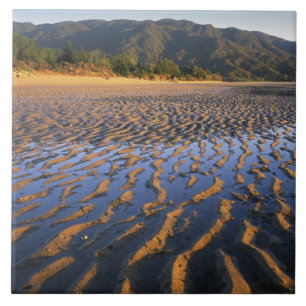 Azulejo De Cerâmica Nova Zelândia, Parque Nacional Abel Tasman, Costa