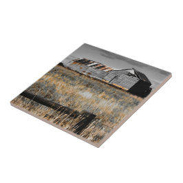 Azulejo De Cerâmica O abrigo de ontem