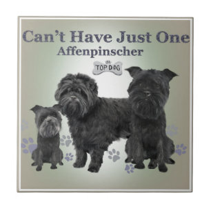 Azulejo De Cerâmica O Affenpinscher não pode ter apenas um telha