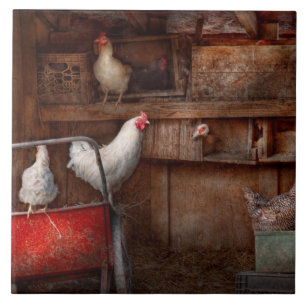 Azulejo De Cerâmica O animal - galinha - o pato é um espião