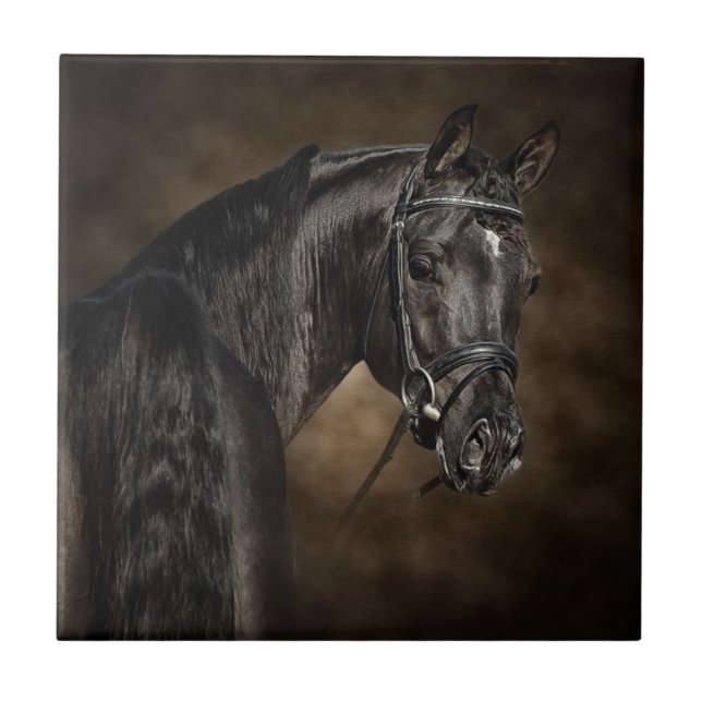 Azulejo De Cerâmica O Arabian (Frente)