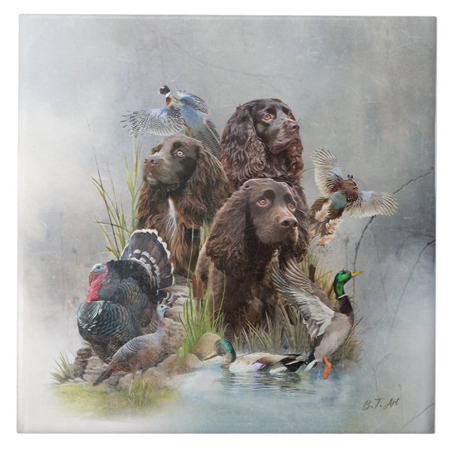 Azulejo De Cerâmica O Boykin Spaniel (Frente)