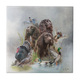 Azulejo De Cerâmica O Boykin Spaniel