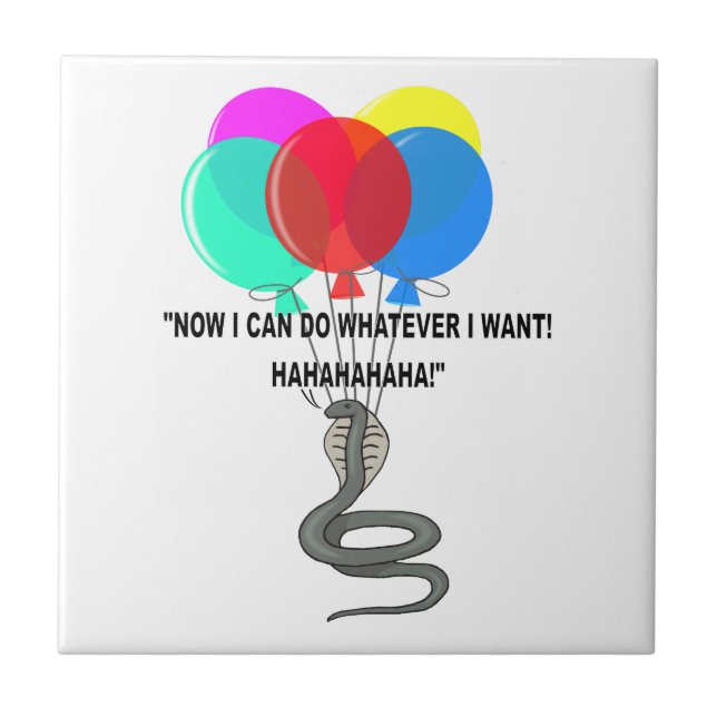 Azulejo De Cerâmica O Cobra Voador (Frente)