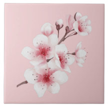 O Design da Série Okinawa 30