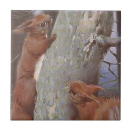 Azulejo De Cerâmica O ESQUILO (Sciurus vulgaris)
