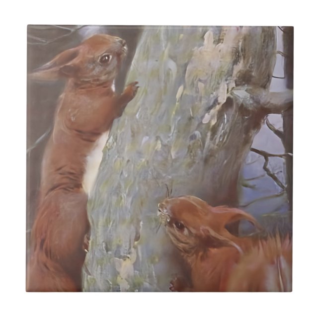 Azulejo De Cerâmica O ESQUILO (Sciurus vulgaris) (Frente)