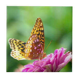 Azulejo De Cerâmica O excelente Spangled o Fritillary