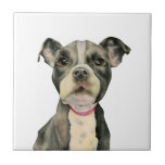 Azulejo De Cerâmica O "filhote de cachorro Eyes" a pintura da aguarela<br><div class="desc">Esta é uma pintura da aguarela de um filhote de cachorro preto e branco do pitbull. É um fim acima do cão com os grandes olhos de vista esperançosos. Isto foi pintado no papel pressionado quente Arched com pinturas da aguarela de Daniel Smith.</div>