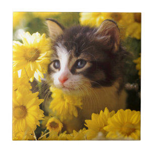 Azulejo De Cerâmica O gatinho Sniffs as margaridas amarelas